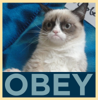 Злобный Пингвин